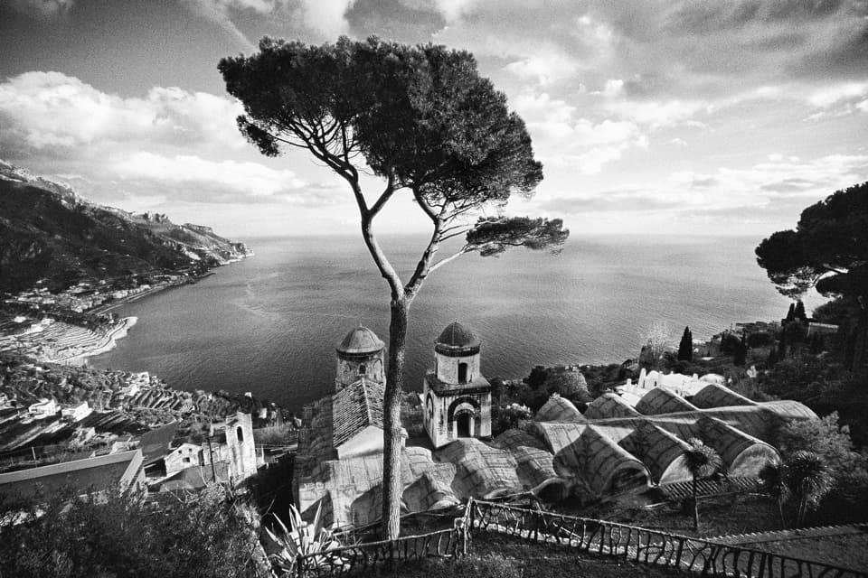 Ravello Pino B/N
