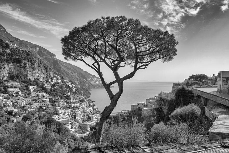 Positano Pino B/W